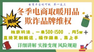 利用电商平台冬季销售取暖用品欺诈行为合理制裁店铺，单日入900+【仅揭秘】-虚拟资源库