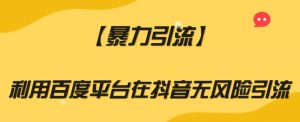 【暴力引流】利用百度平台在抖音无风险引流【揭秘】-虚拟资源库