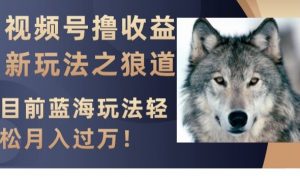 视频号撸收益新玩法之狼道,目前蓝海玩法,轻松月入过万【揭秘】-虚拟资源库