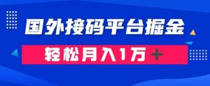 通过国外接码平台掘金:成本1.3,利润10+,轻松月入1万+【揭秘】-虚拟资源库