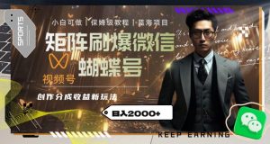 矩阵刷爆微信蝴蝶号创作者分成计划收益的新玩法，日入2000+【揭秘】-淘宝虚拟货源网