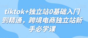 tiktok+独立站0基础入门到精通,跨境电商独立站新手必学课-虚拟资源库
