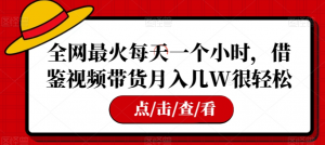 全网最火每天一个小时，借鉴视频带货月入几W很轻松【揭秘】-虚拟资源库