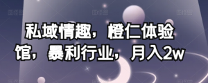 私域情趣，橙仁体验馆，暴利行业，月入2w【揭秘】-虚拟资源库