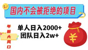 在国内不怕被拒绝的项目,单人日入2000,团队日入20000+【揭秘】-虚拟资源库