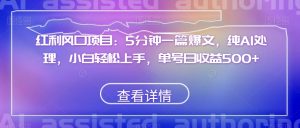 红利风口项目:5分钟一篇爆文,纯AI处理,小白轻松上手,单号日收益500+【揭秘】-虚拟资源库