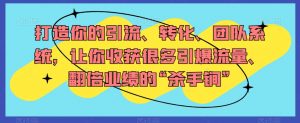 打造你的引流、转化、团队系统,让你收获很多引爆流量、翻倍业绩的“杀手锏”-虚拟资源库