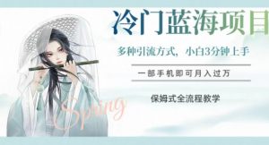 冷门蓝海项目，操作简单，小白3分钟上手，多种引流方式，保姆式全流程教学【揭秘】-虚拟资源库