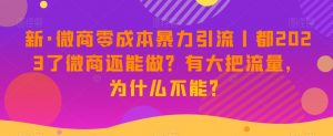 新·微商零成本暴力引流丨都2023了微商还能做？有大把流量，为什么不能？-虚拟资源库