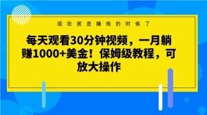 每天观看30分钟视频，一月躺赚1000+美金！保姆级教程，可放大操作【揭秘】-虚拟资源库