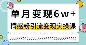 单月变现6W+，抖音情感粉引流变现实操课，小白可做，轻松上手，独家赛道【揭秘】-虚拟资源库