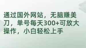 通过国外网站,无脑赚美刀,单号每天300+可放大操作,小白轻松上手【揭秘】-虚拟资源库