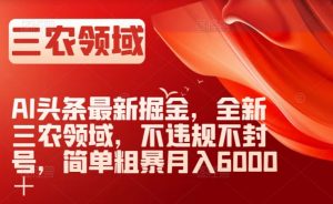 AI头条最新掘金,全新三农领域,不违规不封号,简单粗暴月入6000+【揭秘】-虚拟资源库