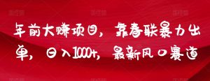 年前大赚项目，靠春联暴力出单，日入1000+，最新风口赛道【揭秘】-虚拟资源库