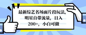最新综艺名场面片段玩法，明星自带流量，日入200+，小白可做【揭秘】-虚拟资源库
