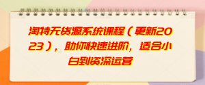 淘特无货源系统课程(更新2023),助你快速进阶,适合小白到资深运营-虚拟资源库