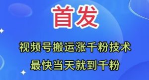 全网首发:视频号无脑搬运涨千粉技术,最快当天到千粉【揭秘】-虚拟资源库
