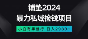 暴力私域捡钱项目，小白无脑操作，日入2980【揭秘】-虚拟资源库