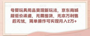 母婴玩具用品变现新玩法，京东商城超低价渠道，简单操作可实现月入2万+【揭秘】-虚拟资源库