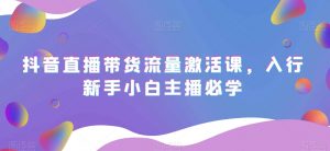 抖音直播带货流量激活课,入行新手小白主播必学-虚拟资源库