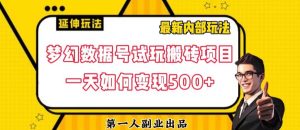 数据号回归玩法游戏试玩搬砖项目再创日入500+【揭秘】-虚拟资源库