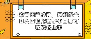 卖莆田篮球鞋,暴利掘金日入四位数新手小白都可以轻松上手【揭秘】-虚拟资源库