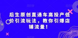 后生原创直通车高投产低价引流玩法,教你引爆店铺流量!-虚拟资源库
