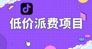 抖音低价派单项目，0门槛，日入1000+很轻松，小白可操作【揭秘】-虚拟资源库