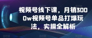 视频号线下课,月销3000w视频号单品打爆玩法,实操全解析-虚拟资源库
