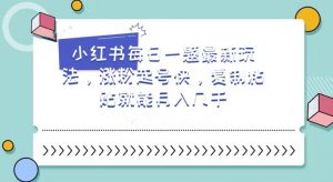 小红书每日一题最新玩法,涨粉起号快,复制粘贴就能月入几千【揭秘】-虚拟资源库