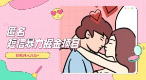 全网首发，揭秘超冷门匿名短信项目，通过信息差日入几百+【揭秘】-虚拟资源库