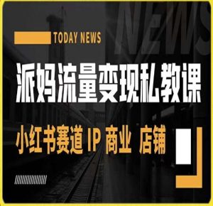 派妈流量变现私教课，小红书赛道IP  商业  店铺 -虚拟资源库