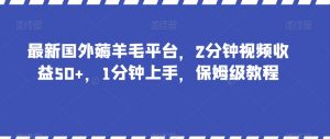 最新国外薅羊毛平台，2分钟视频收益50+，1分钟上手，保姆级教程【揭秘】-虚拟资源库