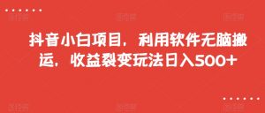 抖音小白项目,利用软件无脑搬运,收益裂变玩法日入500+【揭秘】-虚拟资源库