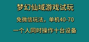 梦幻仙域游戏试玩，免微信玩法，单机40-70，一个人同时操作十台设备【揭秘】-虚拟资源库