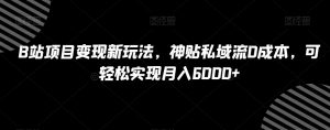 B站项目变现新玩法,神贴私域流0成本,可轻松实现月入6000+【揭秘】-虚拟资源库