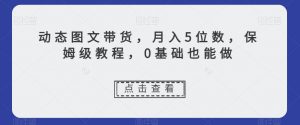 动态图文带货,月入5位数,保姆级教程,0基础也能做【揭秘】-虚拟资源库