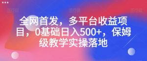 全网首发,多平台收益项目,0基础日入500+,保姆级教学实操落地【揭秘】-虚拟资源库