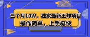 三个月10W，独家最新王炸项目！操作简单，上手极快【揭秘】-虚拟资源库