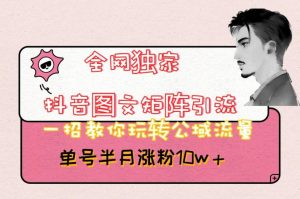 全网独家抖音图文矩阵引流,一招教你玩转公域流量,单号半月涨粉10w+【揭秘】-虚拟资源库