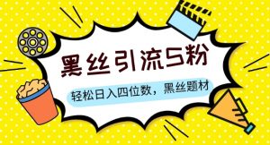 S粉变现,轻松日入四位数,黑丝题材+情感话术【揭秘】-虚拟资源库