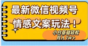 微信视频号情感文案最新玩法，小白轻松月入1万+无脑搬运【揭秘】-虚拟资源库
