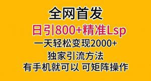 全网首发!日引800+精准老色批,一天变现2000+,独家引流方法,可矩阵操作【揭秘】-虚拟资源库