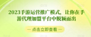 2023手游运营推广模式,让你在手游代理加盟平台中脱颖而出-虚拟资源库