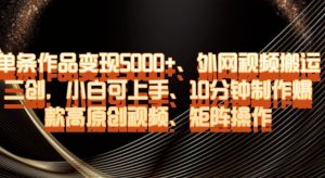 单条作品变现5000+、外网视频搬运二创，小白可上手，10分钟制作爆款高原创视频，矩阵操作【揭秘】-虚拟资源库