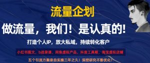 流量企划,打造个人IP,放大私域,持续转化客户【揭秘】-虚拟资源库