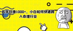 玄学狂撸1000+，小白如何快速跨入命理行业【揭秘】-虚拟资源库