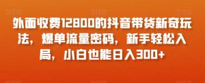 外面收费12800的抖音带货新奇玩法，爆单流量密码，新手轻松入局，小白也能日入300+【揭秘】-虚拟资源库