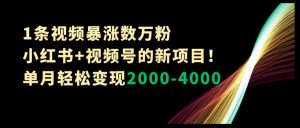 1条视频暴涨数万粉–小红书+视频号的新项目!单月轻松变现2000-4000【揭秘】-虚拟资源库