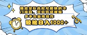 播放量巨高起号超快的冷门项目，漫剪情感视频，可多平台矩阵操作，轻松日入1000+【揭秘】-虚拟资源库